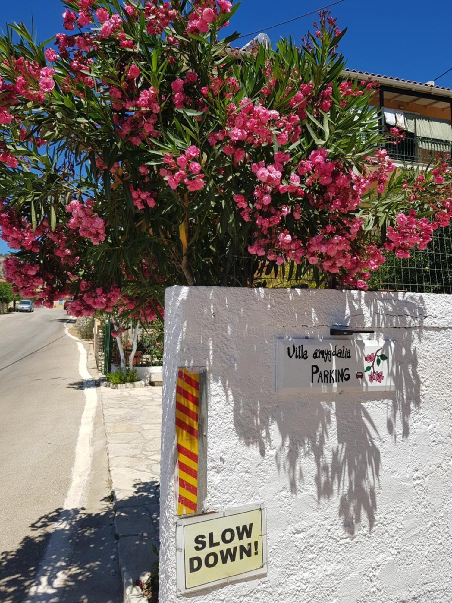 Dilináta Villa Amygdalia מראה חיצוני תמונה